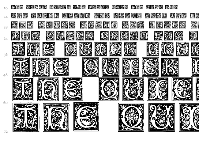 Typographer Woodcut Initials One font waterfall