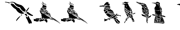 HFF Bird Stencil fuente