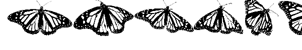 WL Royal Flutter Dingbats fuente