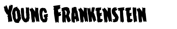 Young Frankenstein fuente