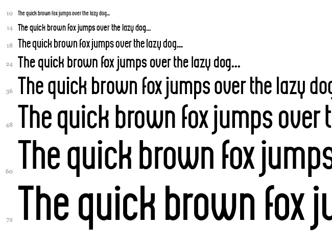 Biscuit Pro font waterfall