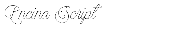 Encina Script fuente