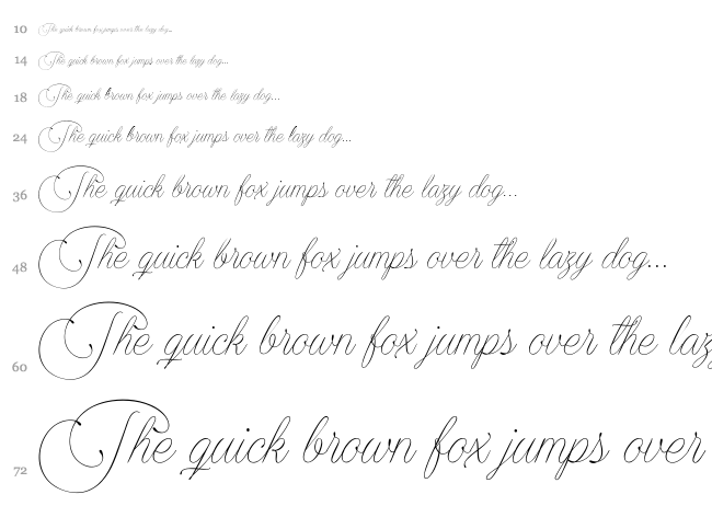Encina Script font waterfall