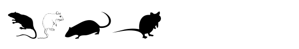 Rats font preview
